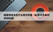 榴莲树适合在什么地方种植（未来10大暴利药材种植）
