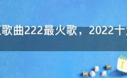 网红歌曲222最火歌，2022十大网络爆红歌曲