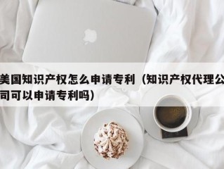 美国知识产权怎么申请专利（知识产权代理公司可以申请专利吗）