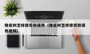 橡皮树怎样修剪和保养（橡皮树怎样修剪和保养视频）