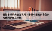 暑假小报的内容怎么写（暑假小报的内容怎么写我的梦想二年级）