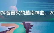 2021抖音最火的越南神曲，2021抖音最火的印度神曲