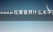 【sunwear在黑客界什么水平】
