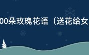1到100朵玫瑰花语（送花给女朋友写点什么好呢）