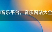 2021音乐平台，音乐网站大全，全网最火的音乐网站