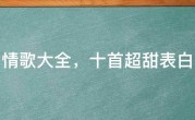 甜蜜情歌大全，十首超甜表白情歌