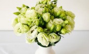 白色桔梗花的花语是什么意思 送什么人合适（寓意）