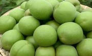 青梅是什么水果