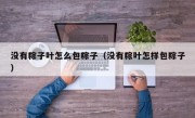 没有粽子叶怎么包粽子（没有粽叶怎样包粽子）