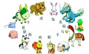 12生肖各属什么星座，十二生肖都代表什么星座