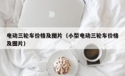 电动三轮车价格及图片（小型电动三轮车价格及图片）