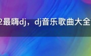 2022最嗨dj，dj音乐歌曲大全dj歌曲2022