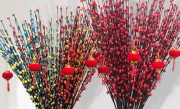 银柳养几根最吉利（家里适合摆放红色干支银柳吗）