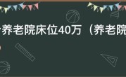 天价养老院床位40万（养老院床位面积标准）