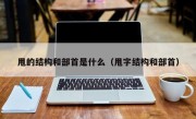 甩的结构和部首是什么（甩字结构和部首）