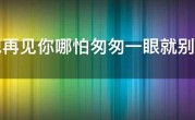 多想再见你哪怕匆匆一眼就别离，我试着把孤独藏进耳机是什么歌