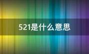 521是什么意思