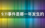 9.11事件是哪一年发生的