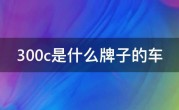 300c是什么牌子的车
