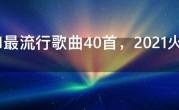 2021最流行歌曲40首，2021火爆网红歌