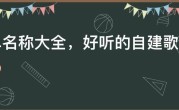 歌单名称大全，好听的自建歌单名字