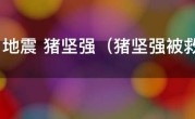 汶川地震 猪坚强（猪坚强被救出的图片）