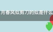 【二月春风似剪刀的似是什么意思】
